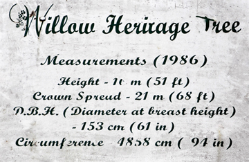 sign about the Willow Heritage Tree